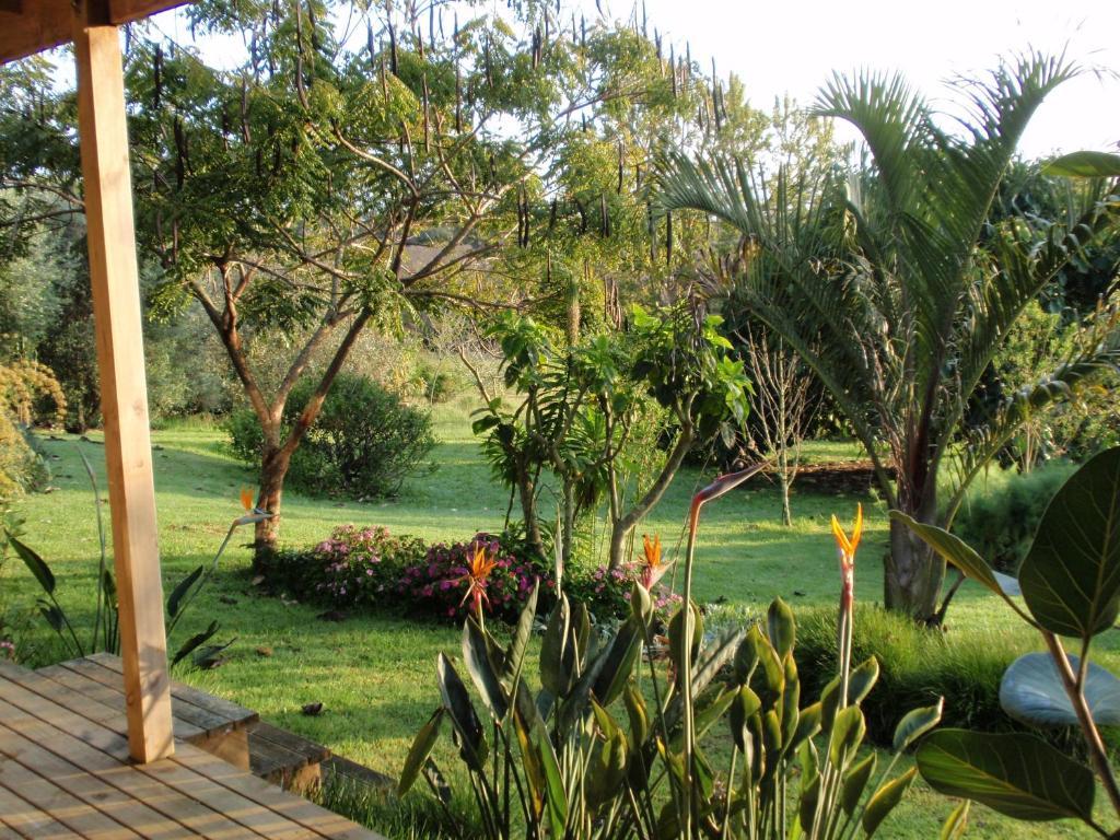 Wharepuke Subtropical Accommodation Керайкри Номер фото
